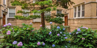 828 Reba Place Gallery 2