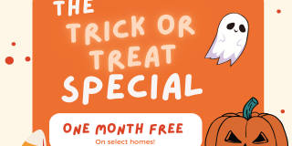 Landmark at Tanasbourne Gallery 31