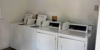 GROVE4213 Gallery 39