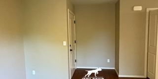 AV16614 Gallery 3