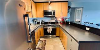 Sunny 1 bed 1 bath condo in Fremont Gallery 4