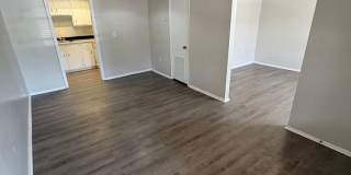 Spacious Studio in Maitland! Gallery 4