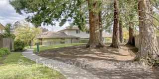 221 Palo Verde Terrace Gallery 24