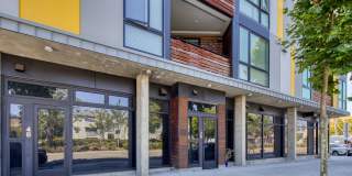Cerrito Vista Gallery 35