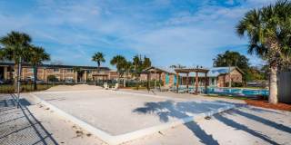 Sea Oats Sea Oats Gallery 35