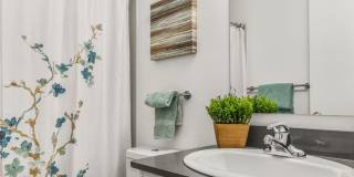 2 bed/1 bath Home for Rent with Attached Garage Gallery 50