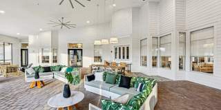 Tortuga Bay Gallery 6