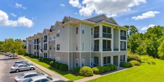 The Willow Gallery 42