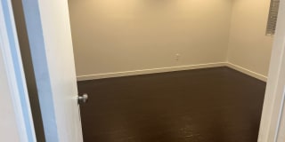 True Beauty! SOLAR Gallery 14