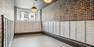 Forayna Davis Park Gallery 3