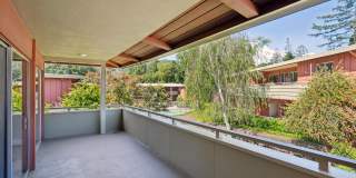 Bay Tree Gallery 48