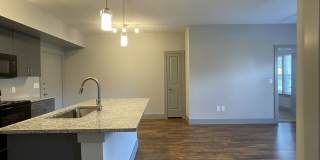 The Bammel Gallery 29