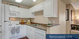 Castlepark Gallery 7