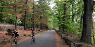 Tree Haven Apartments Gallery 16