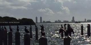 680 NE 64 ST Gallery 12