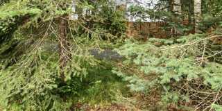 Cozy Eagle River Home with Backyard Trails! Cozy Eagle River Home with Backyard Trails! Gallery 23