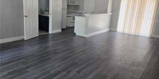 718 FLORIDA PALMS Court Gallery 2