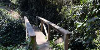 Leafy Montecito Gallery 29