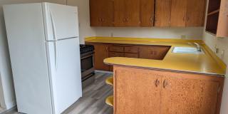 1511 Shirley Place Gallery 4