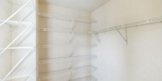 42385 TRELLIS Square Gallery 19