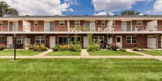 Lake of the Woods Gallery 59