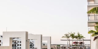 The Palmer Dadeland Gallery 51