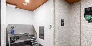 The Hemlock Gallery 44