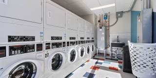 The Canvas Gallery 19