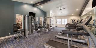 2900 Lux Apartment Homes Gallery 15