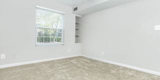 The Ashberry Gallery 113