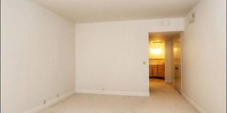 318 N Maple Dr Gallery 16