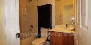 10584 E Forest Falls Court 10584 E Forest Falls Court Gallery 12