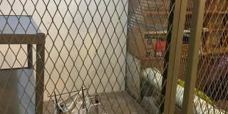 1 BEACH Drive SE Gallery 17