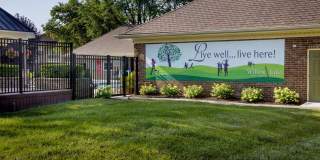 Willow Lake Gallery 43