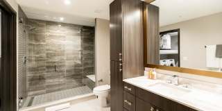 The National The National Gallery 8