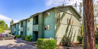 T Street Apartments Gallery 8