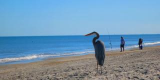 1415 Ocean Shore Blvd Gallery 28