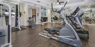 Savona Grand Gallery 23