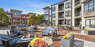 Aston Place Gallery 15