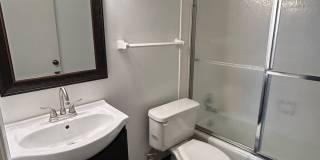 Brendan Wood Gallery 12