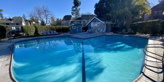 211 Shadow Dance Dr Gallery 13