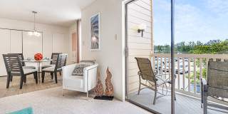 Sawmill Creek Gallery 19