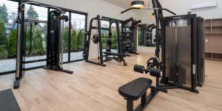 The Rigney Gallery 23