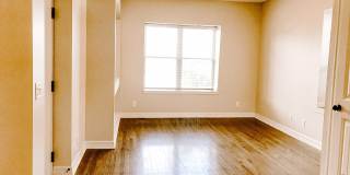 The Jackson Gallery 11