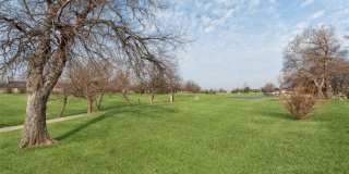 11805 Ashford Drive Gallery 48