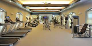 Harmony Park Gallery 6