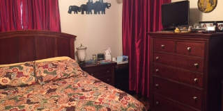 119 Pine Street East Gallery 3
