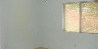 Charming 3 Bed 1.75 Bath Home in Bellevue Gallery 7
