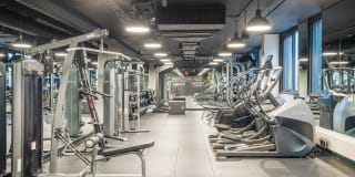 Coda on Half Gallery 6