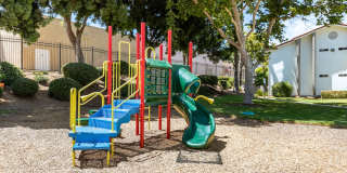 Las Ventanas Gallery 22